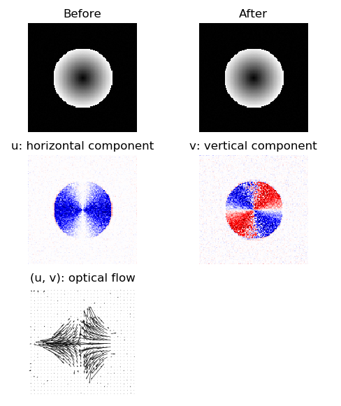 ../_images/optical_flow.png